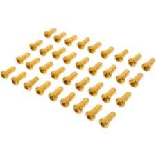 Speichennippel Satz hinten